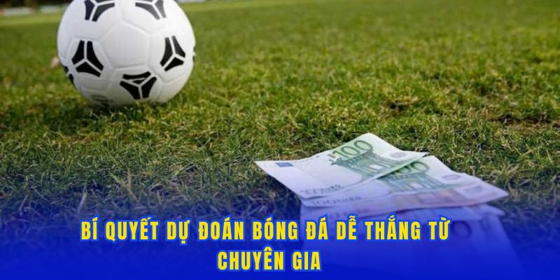 Bí quyết dự đoán bóng đá dễ thắng từ chuyên gia