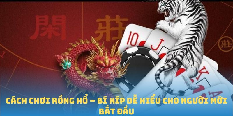 Cách chơi Rồng Hổ siêu hiệu quả mà cao thủ hay dùng